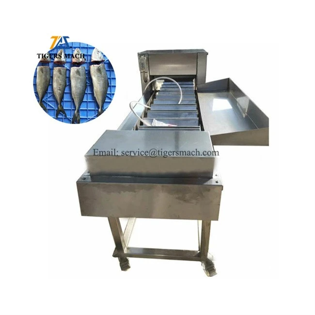 Automatic Fish Head Tail Cutting Machine from Fish Processing Killing Machines