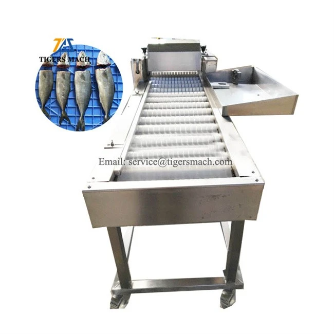 New arrival designed multi various of fish deheading machine, customization fish head removers equipment