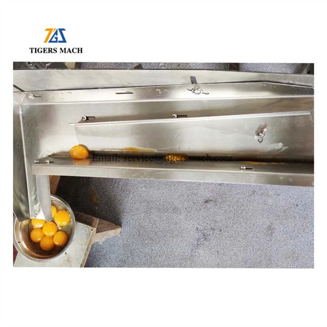Efficiency  Egg cracking machine Stainless steel 304 egg breakers, efficiency liquid egg processing machine